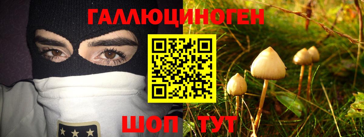 Псилоцибиновые грибы MAGIC MUSHROOMS  Псилоцибиновые грибы мицелий  Пугачёв  Вход с VPN 