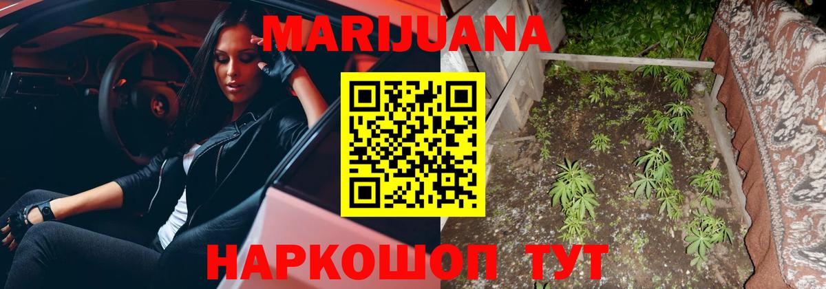 Пугачёв  Бошки Шишки тримм  Марихуана AK-47  Вход с VPN 